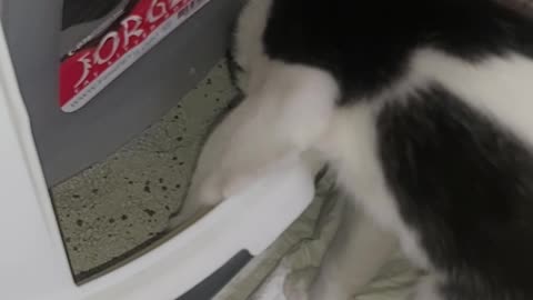 What are you doing Lucy?