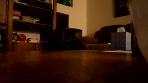 Listening to techno bregga remix of Gnarls Barkeyl, Crazy