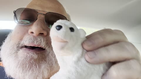 POLAR BEAR