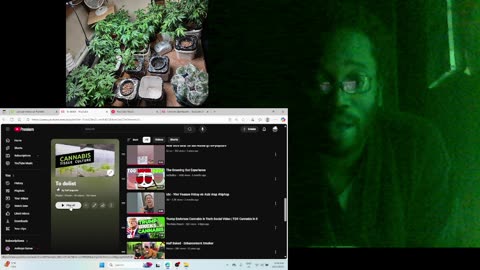 greened out govt shut down