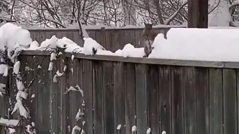 Woe Day 131. I am in the ark. Waiting for GOD to open the Door for a spring/summer Pentecost rapture