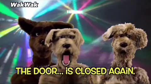 Basically How Dogs Work