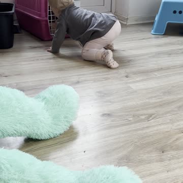Kayla Takes Her First Steps — 5 Steps on Her Own! 🚶‍♀️✨
