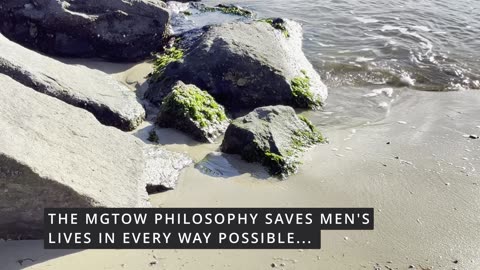 "Continue Forward..." REDPILL/REDPILLTRUTHS/MGTOW/MGTOWTRUTHS