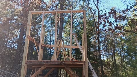 Deer blind: Framing east wall!