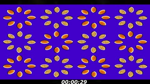 Optical illusion puzzle: The seeds keep spinning, if you keep looking at it...