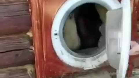 What do you think of this use for a used washing machine