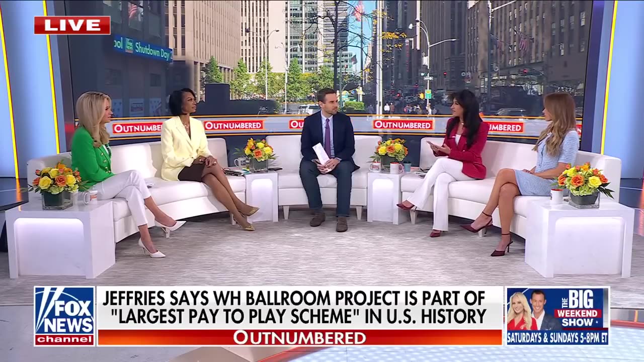 McEnany: I thought I was DREAMING when I saw this