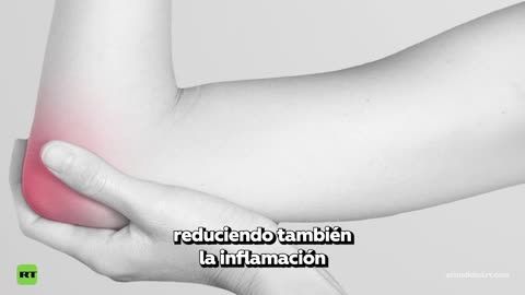 Descubre cómo un árbol milenario puede transformar tu cerebro y visión con un solo suplemento