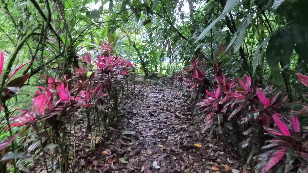 Cabins in La Fortuna