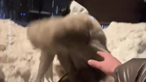 Moscovitas hacen de una enorme montaña de nieve un objeto de arte