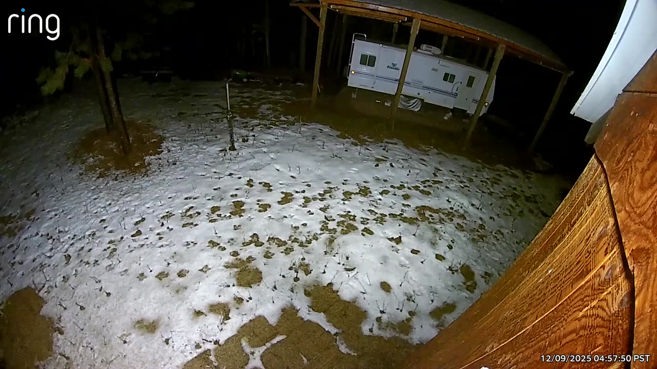 Wolf (?) in hot pursuit of deer.