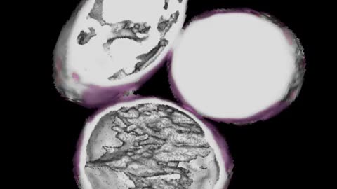 🕵️‍♂️🔎 Unveiling Ancient Aliens? Luisa's DICOM Files Reveal Bizarre Findings! | TheTruthAbove