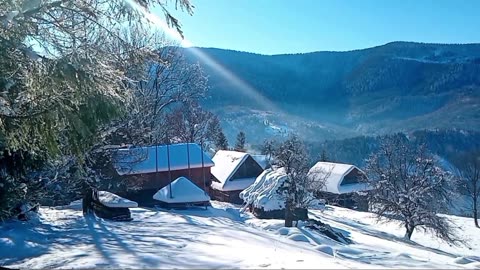 Cozy Sunday Morning in the Countryside | Cooking Potato Pancakes.