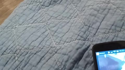 @Mickeyloveskevin, it's called the Anti-Defamation League (aka the ADL), not "Jewish Defense League", you retard