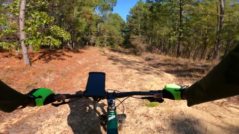 Downhill Lost In The Woods - 3