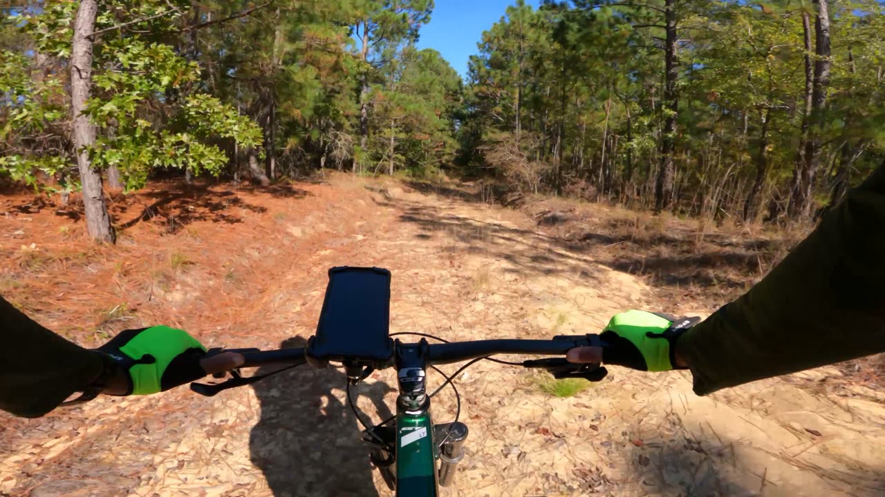 Downhill Lost In The Woods - 3