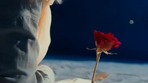 Daily Horoscope | Scorpio 🌟