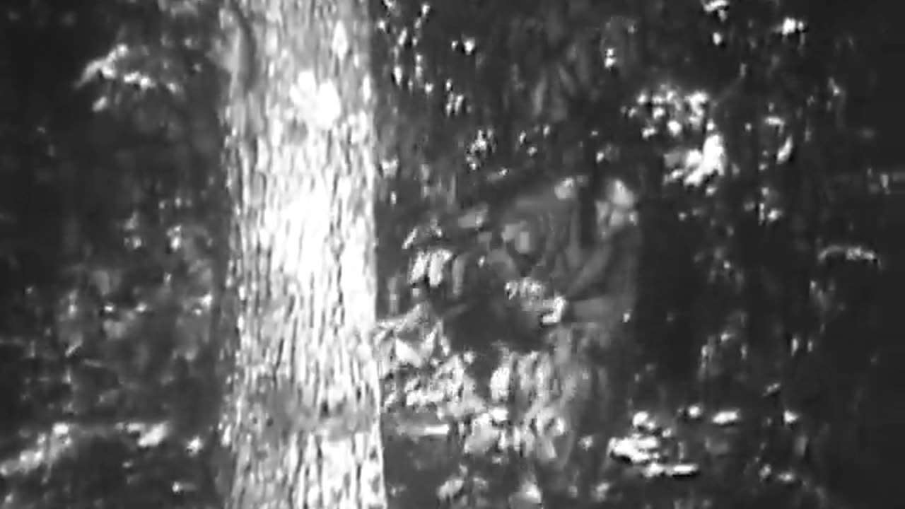 Escape - Escape - gov.archives.arc.649578