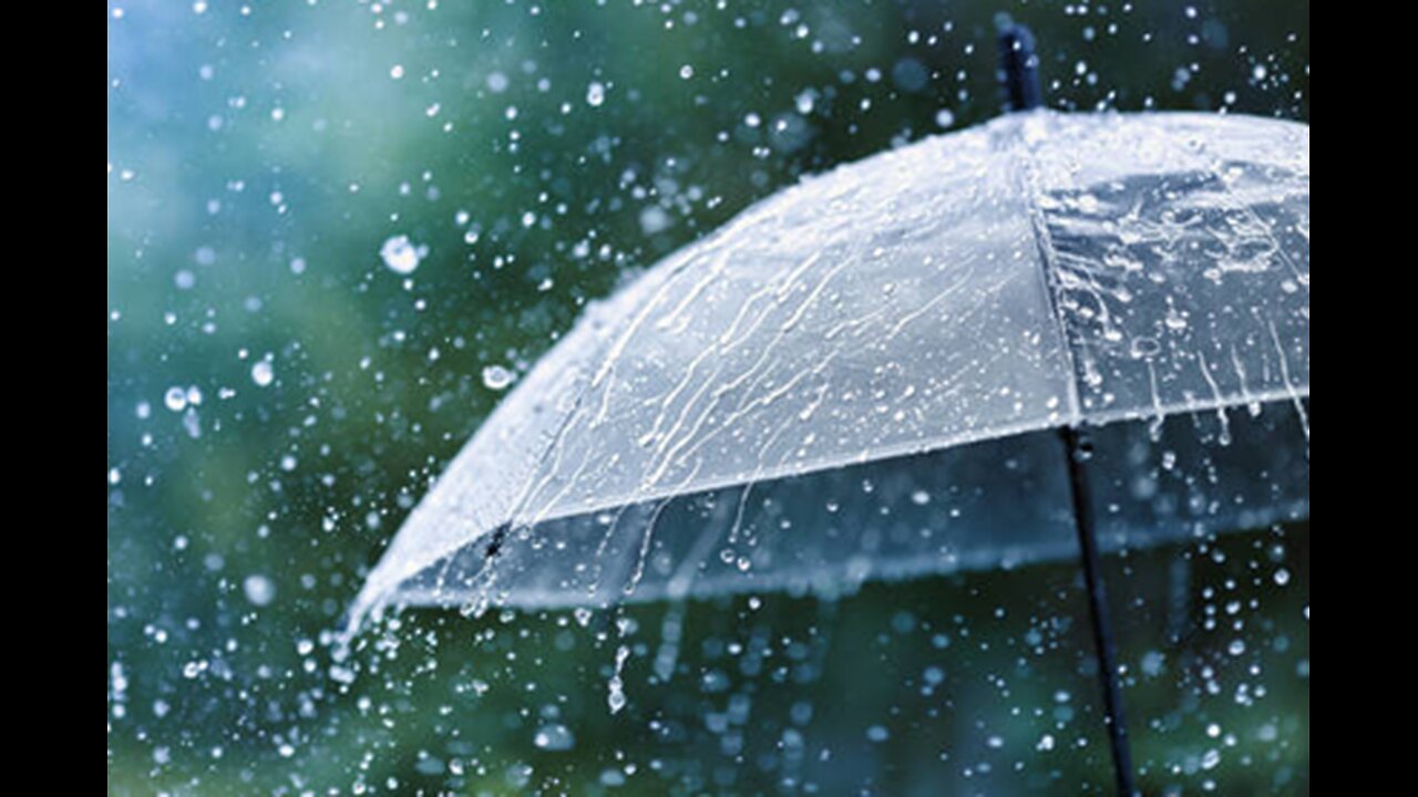 2 Hours of Gentle Rain Sounds for Deep Sleep and Relaxation Calm Night to Fall Asleep Fast