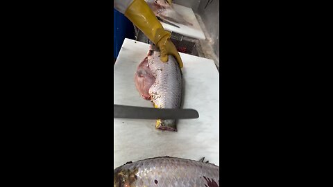 Tilapia #viralreelsシ #reels #viral #parati