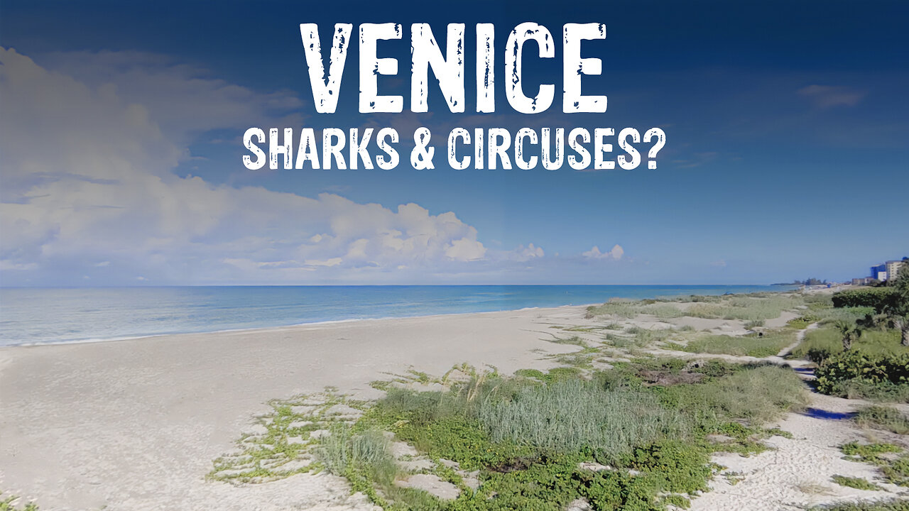 Discover this AFFLUENT COMMUNITY with a history of SHARK TEETH and the CIRCUS | VENICE