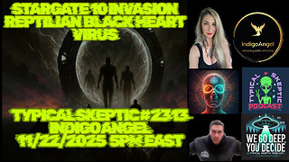 Indigo Angel – Stargate 10 Invaders & The Spread of the Reptilian Black Heart Virus - TSP #2313