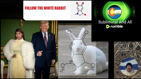 Nicki Minaj to TAKE DOWN MUSIC INDUSTRY "CLUB" & What "FOLLOW the WHITE RABBIT" really means