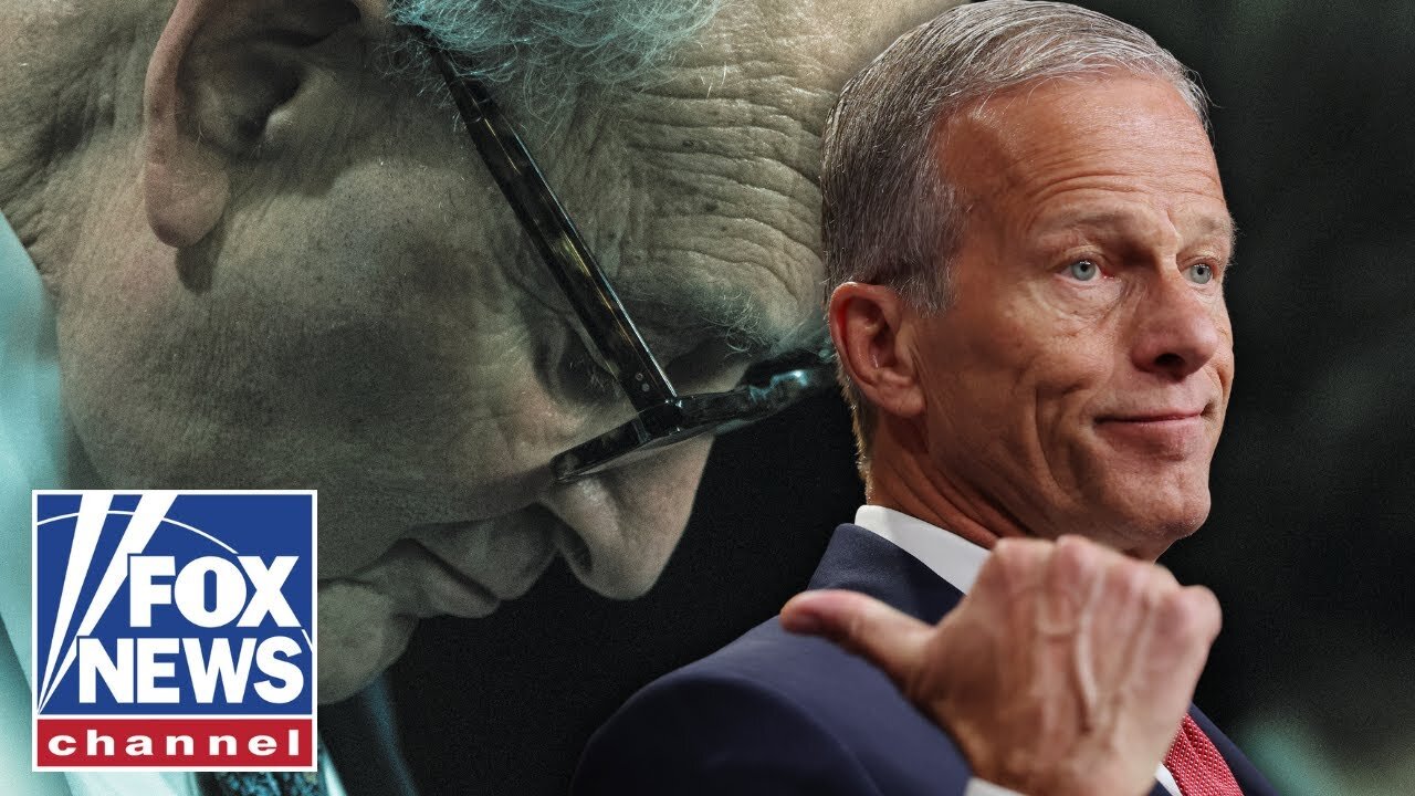 'THEY'RE STUCK': Dems 'really don't know' what they're doing, Senate Majority leader says