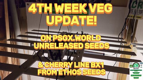 CR's 2024 Fall Grow Unreleased Seeds/Plants 4th Week Veg Update!