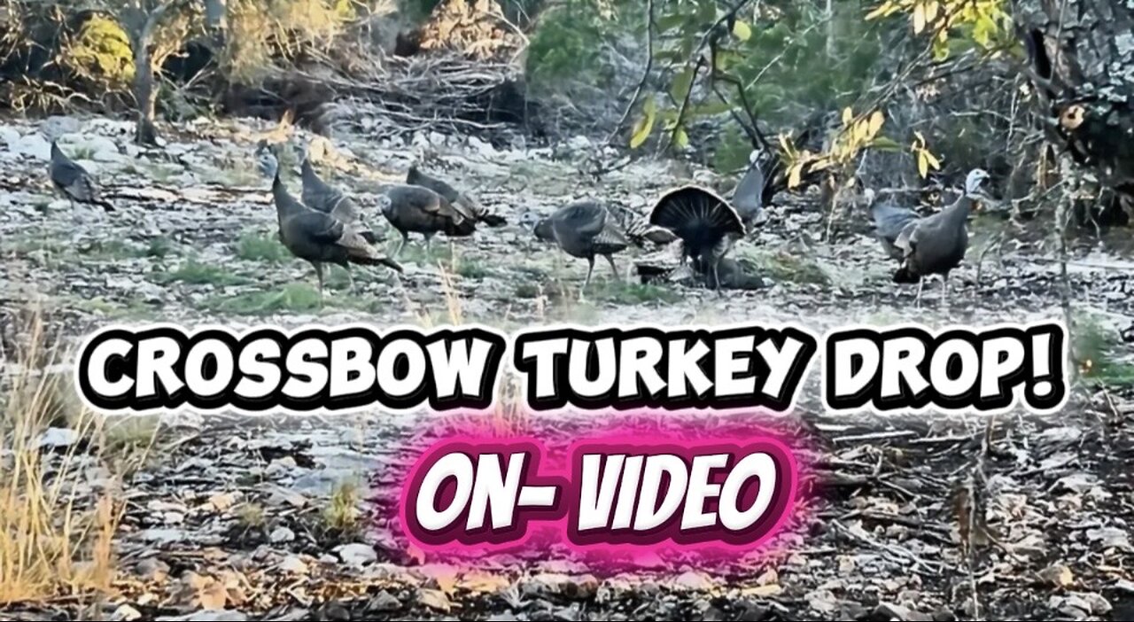 Turkey Hunting with a Crossbow