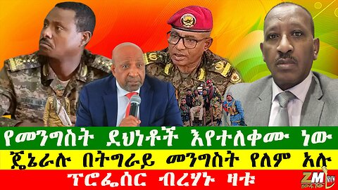ፕሮፌሰር ብረሃኑ ዛቱ፣ የመንግስት ደህነቶች እየተለቀሙ ነው፣ ጄኔራሉ በትግራይ መንግስት የለም አሉ፣Zewdu show 101025