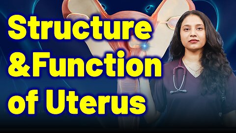 Structure and Functions of Uterus | Treatment and cure | Homeopathy, Medicine & Surgery