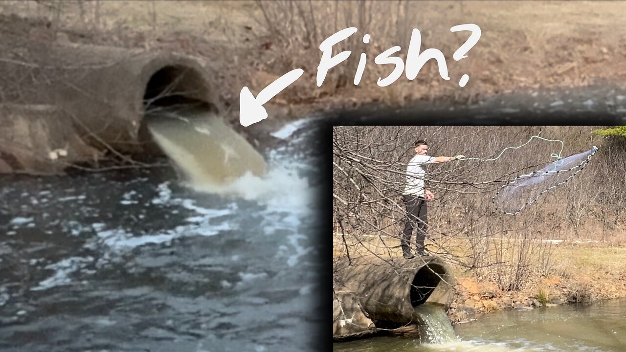 Seeing if Fish Drained from the Lake