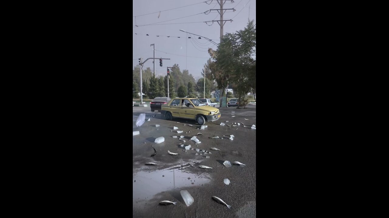 It's raining FISHES🐠🐟