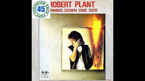 Burning Down One Side ~ Robert Plant