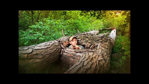 How to Build a Secret Bushcraft Shelter Between Two Trees
