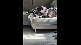 Merry Christmas from the Humble on Rumble One Take Studio Staff.