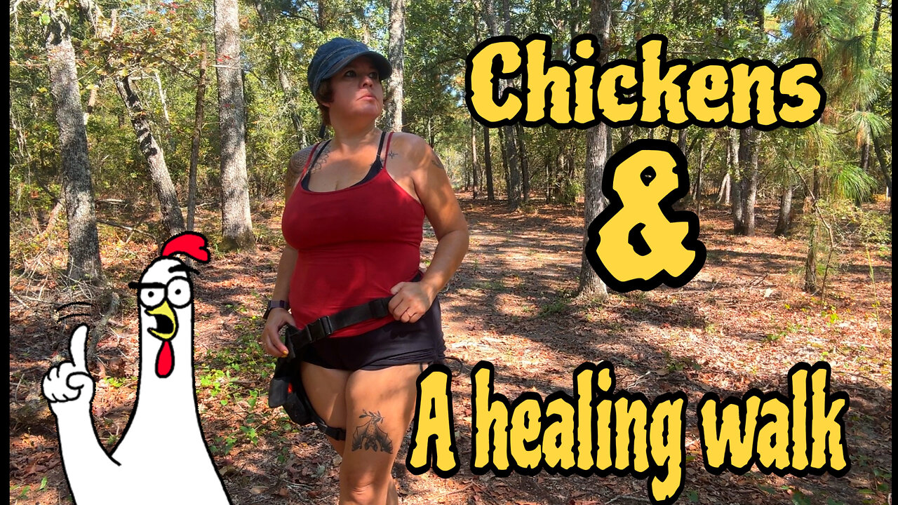 44 chickens and a healing walk in the forest