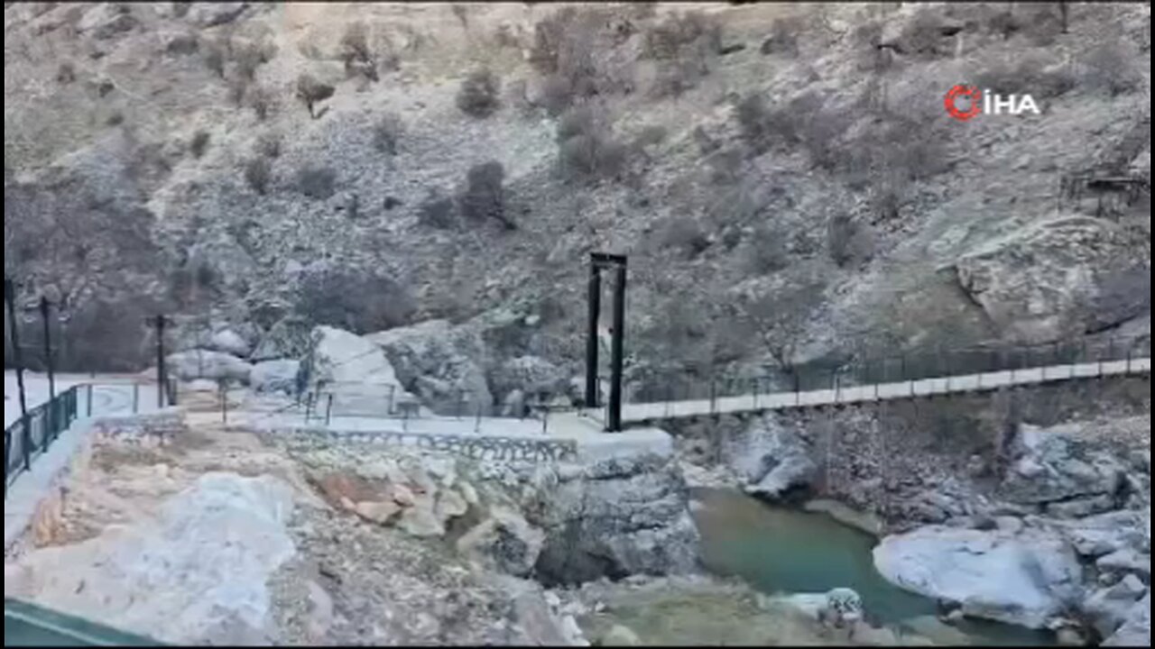 Yaban keçilerinin asma köprü üzerindeki sevimli halleri kameraya yansıdı