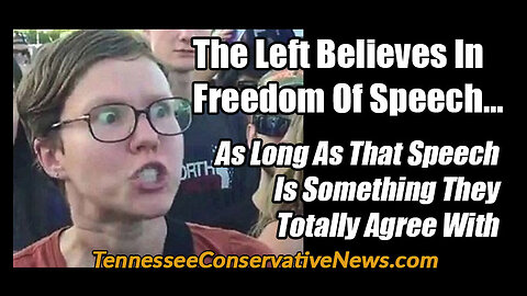 NO ONE EVER WANTS TO HEAR ANOTHER WORD 🤐 FROM THE LEFT ABOUT FREEDOM OF SPEECH