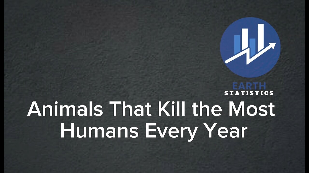 Animals That Kill the Most Humans Every Year...