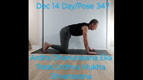 Ardha Dhanurasana Eka Pada Urdhva Mukha Shvanasana Half Bow in One Leg Upward Facing Dog Pose