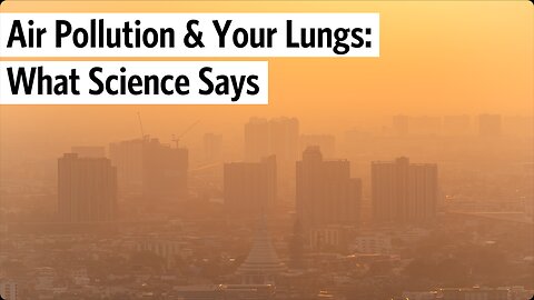 Air Pollution & Your Lungs: What Science Says