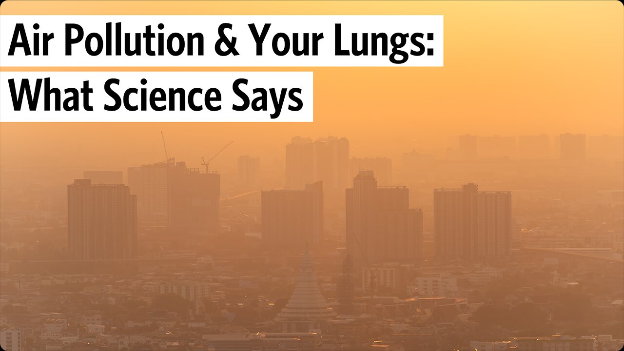 Air Pollution & Your Lungs: What Science Says