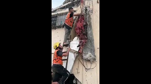 Palestinian genocide