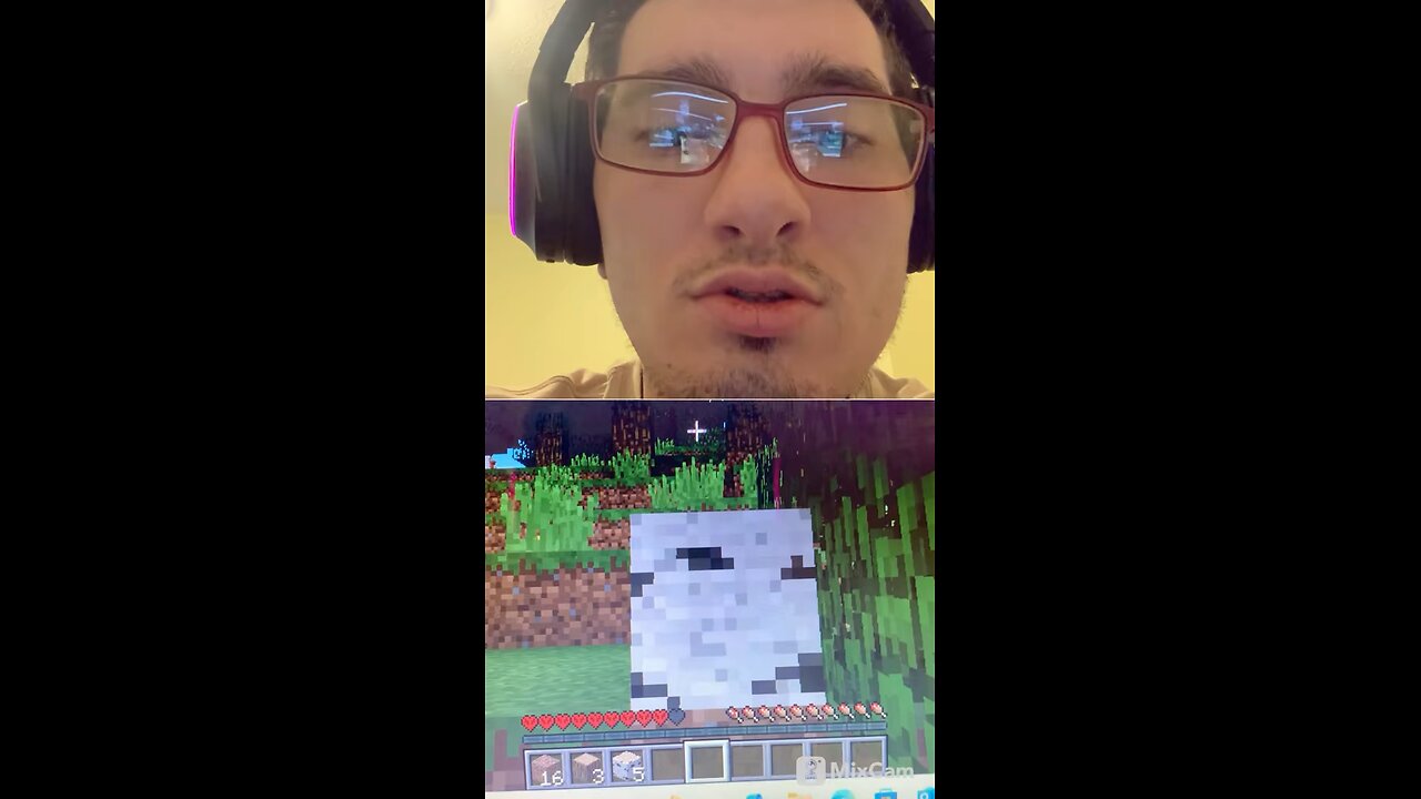 #playingminecraft