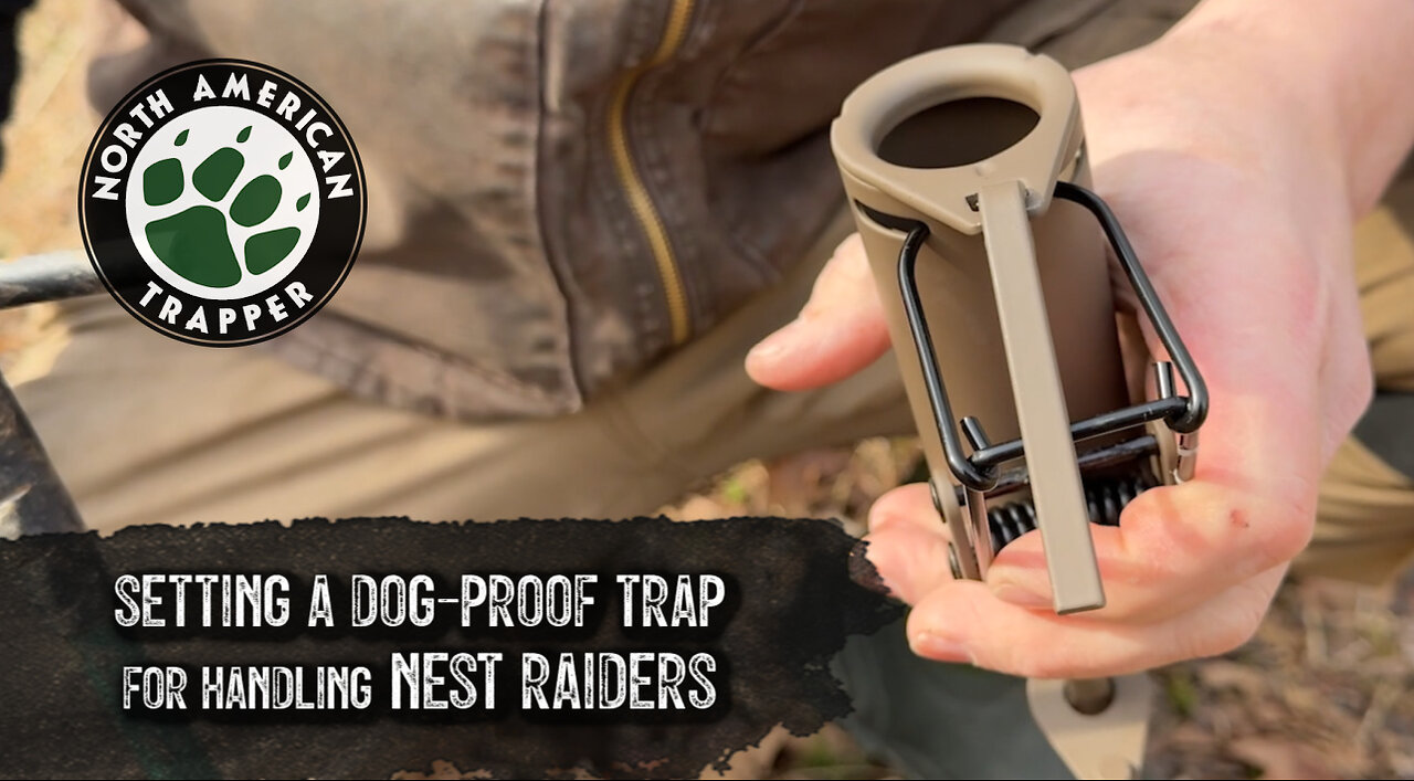 DOG PROOF ~ 'HOW TO' ~ SETTING FOR NEST RAIDERS North American Trapper 13.3K subscribers Analytics