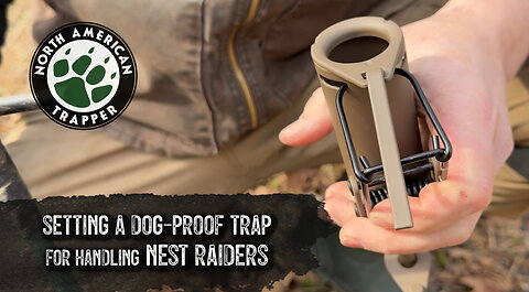 DOG PROOF ~ 'HOW TO' ~ SETTING FOR NEST RAIDERS North American Trapper 13.3K subscribers Analytics