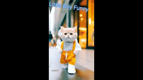 funny cat and dog,Ultimate funny cat ! Hilarious pet videos #prediction #funnyanimals #california